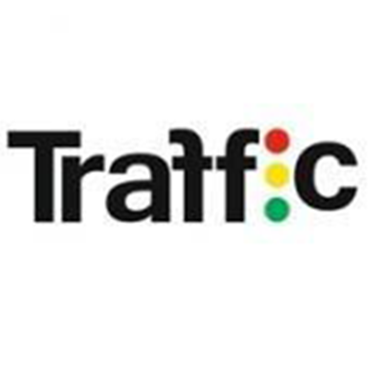 Traffic Cafe